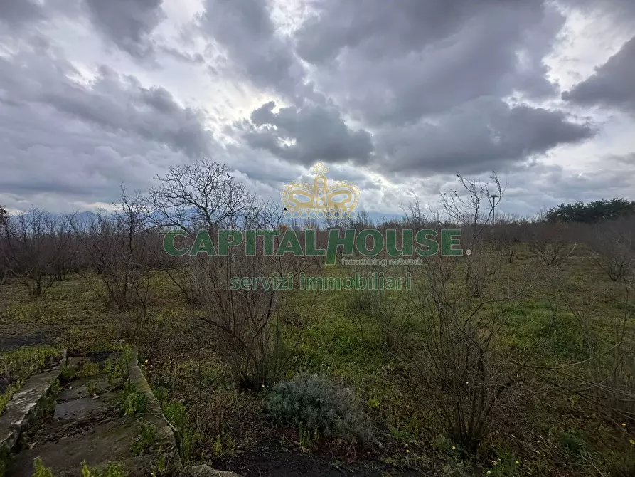 Immagine 13 di Rustico / casale in vendita  in via zabatta a Cercola