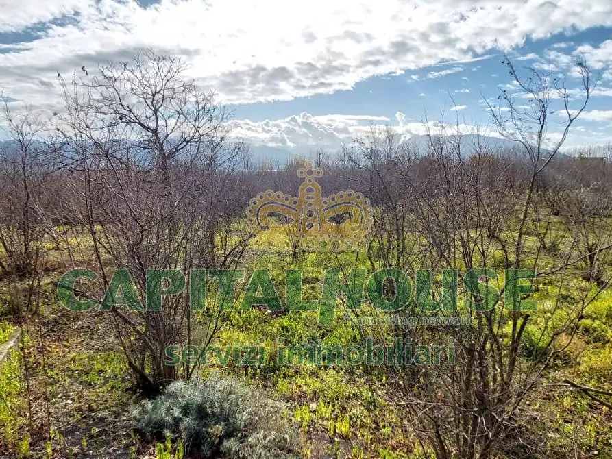 Immagine 17 di Rustico / casale in vendita  in via zabatta a Cercola
