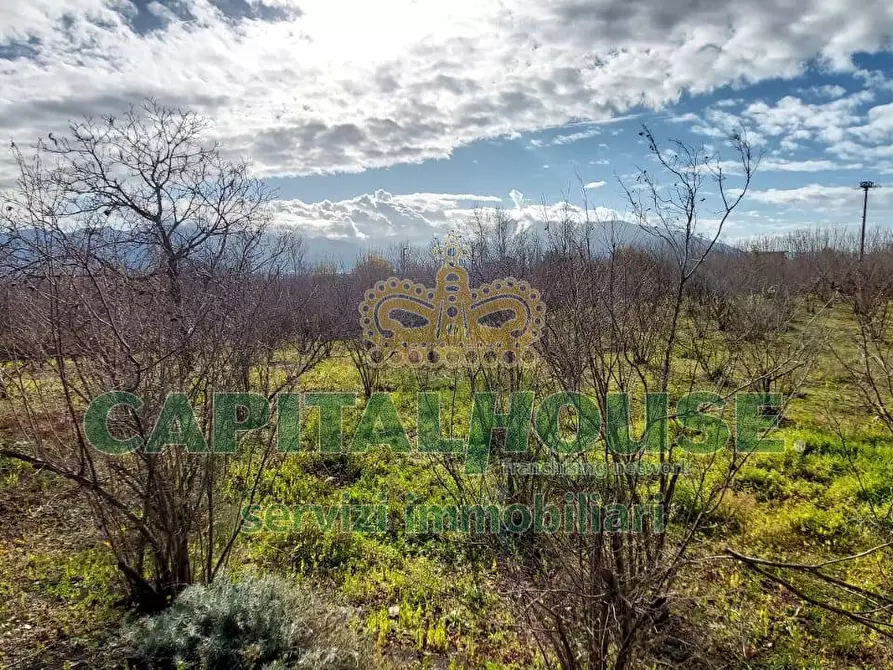 Immagine 19 di Rustico / casale in vendita  in via zabatta a Cercola