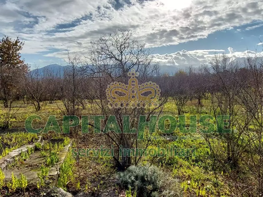 Immagine 20 di Rustico / casale in vendita  in via zabatta a Cercola