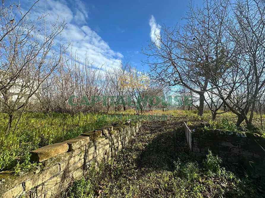 Immagine 1 di Terreno agricolo in vendita  in via Zabatta a Cercola
