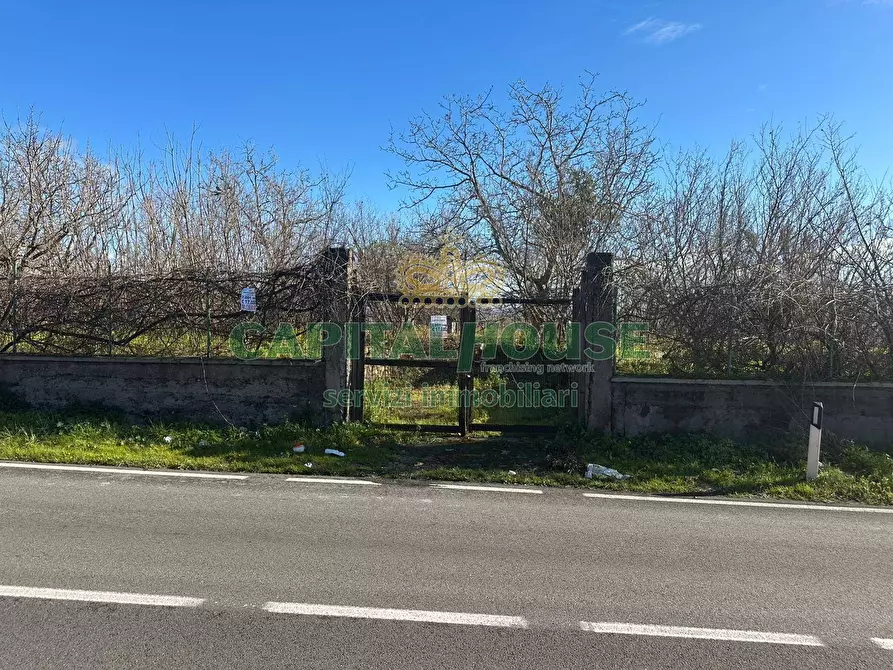 Immagine 6 di Terreno agricolo in vendita  in via Zabatta a Cercola