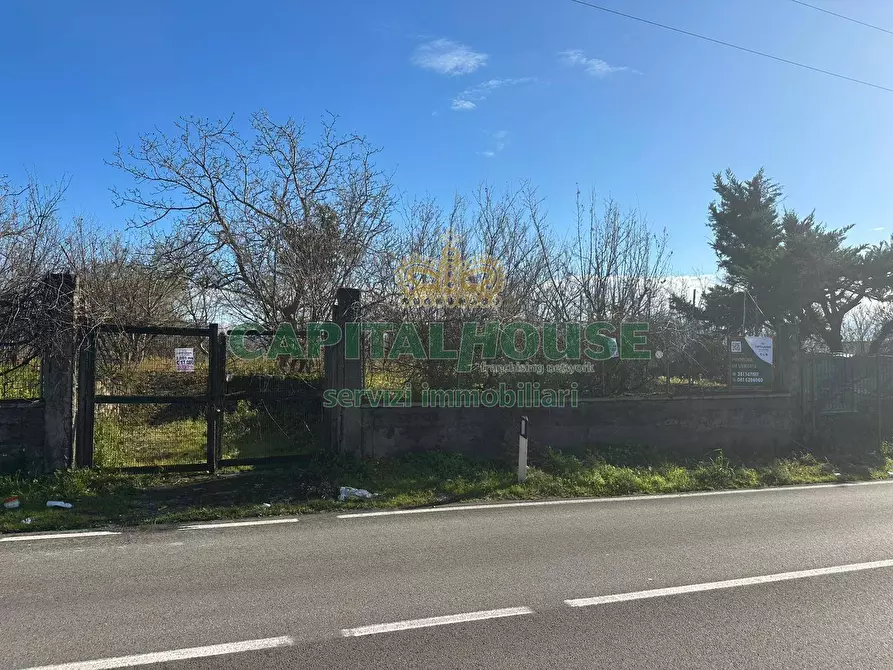 Immagine 9 di Terreno agricolo in vendita  in via Zabatta a Cercola