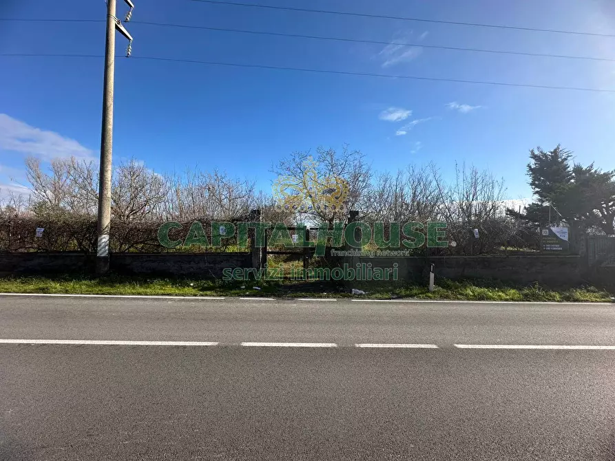Immagine 11 di Terreno agricolo in vendita  in via Zabatta a Cercola