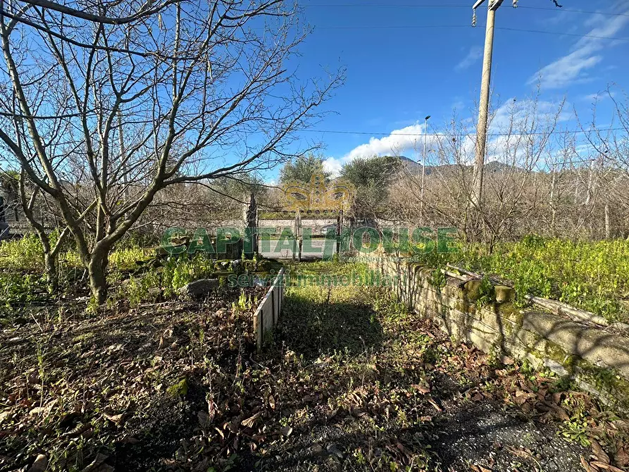 Immagine 2 di Terreno agricolo in vendita  in via Zabatta a Cercola