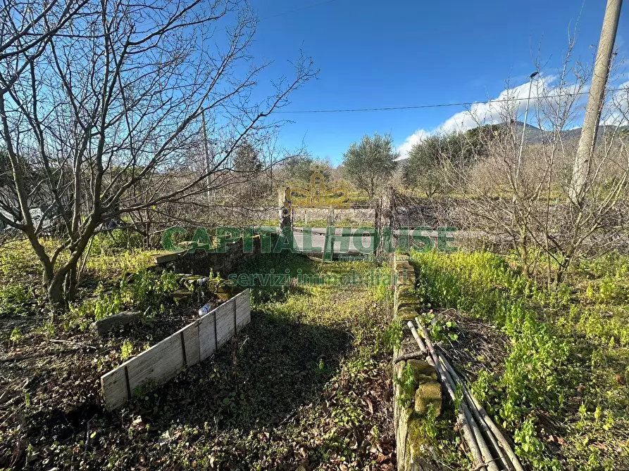 Immagine 5 di Terreno agricolo in vendita  in via Zabatta a Cercola