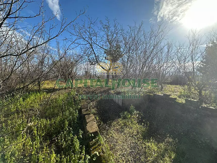 Immagine 3 di Terreno agricolo in vendita  in via Zabatta a Cercola