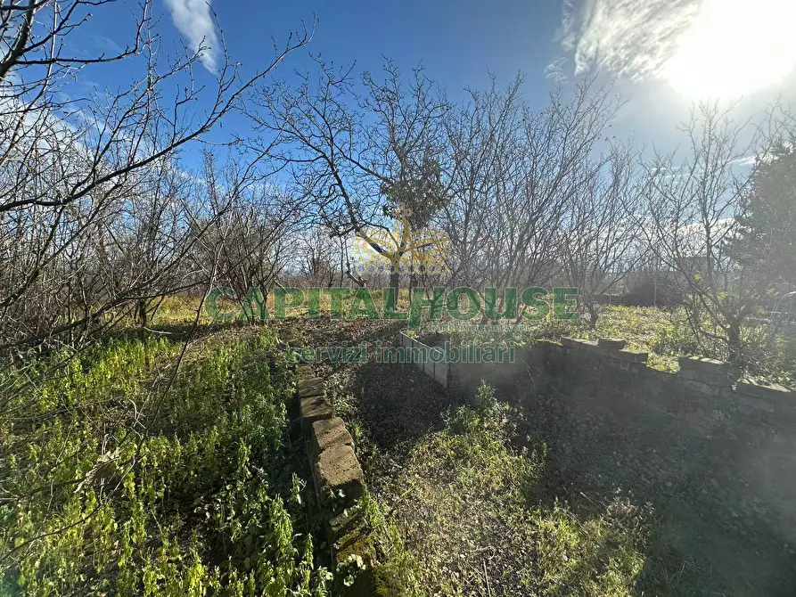 Immagine 8 di Terreno agricolo in vendita  in via Zabatta a Cercola