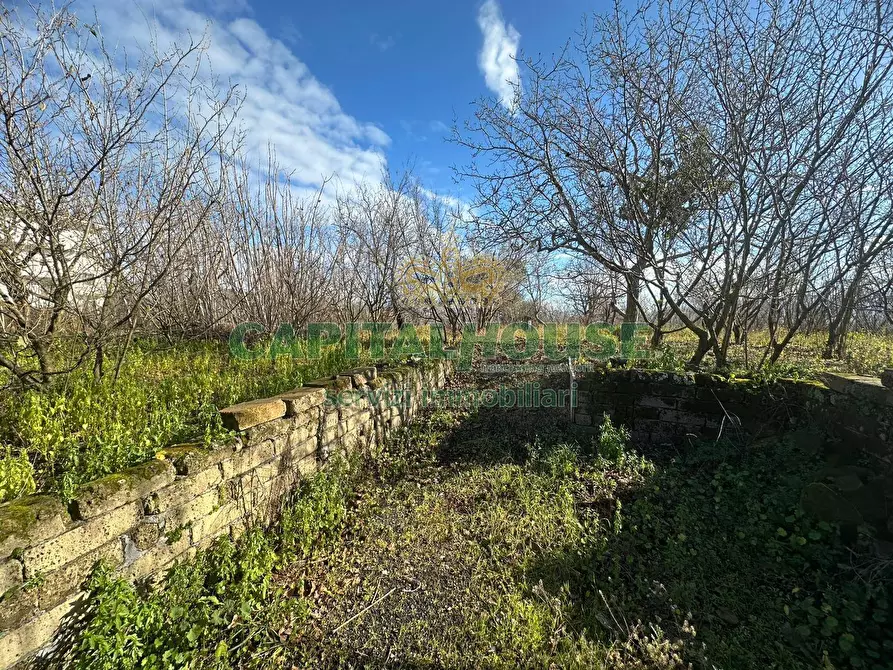 Immagine 4 di Terreno agricolo in vendita  in via Zabatta a Cercola