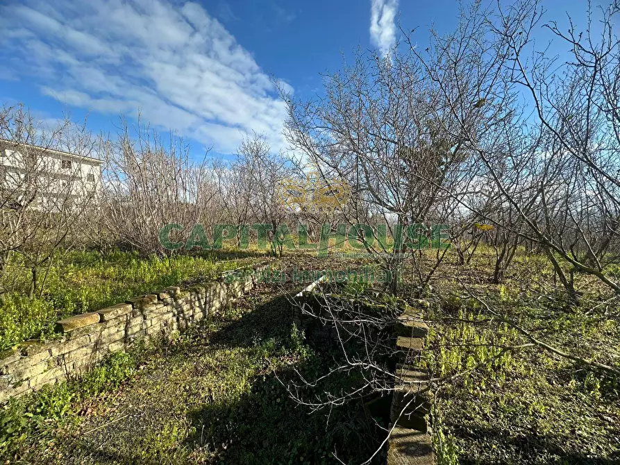 Immagine 7 di Terreno agricolo in vendita  in via Zabatta a Cercola
