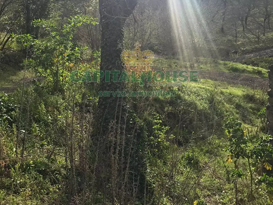 Immagine 9 di Casa semindipendente in vendita  in via capra bianca a Saviano