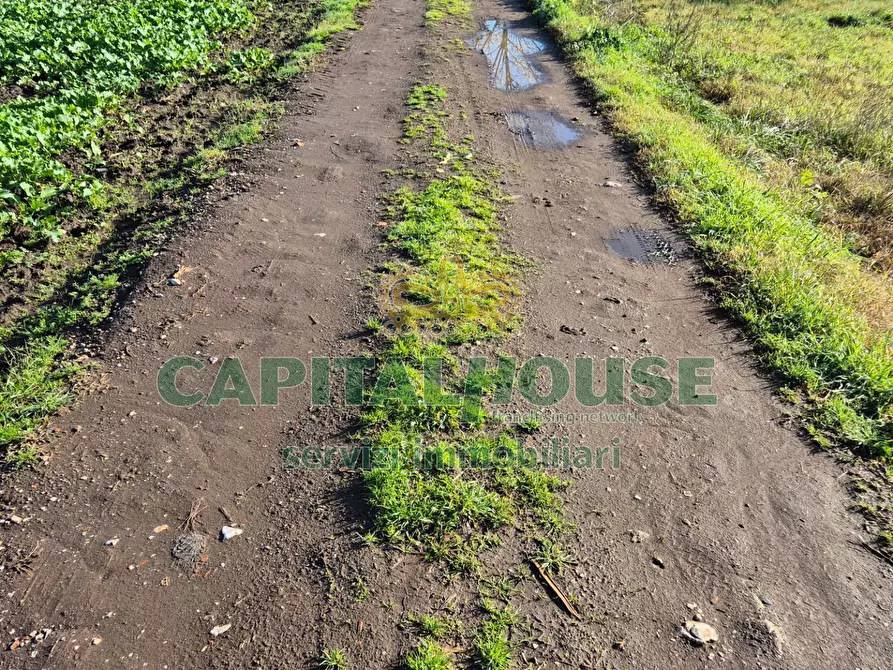 Immagine 3 di Terreno agricolo in vendita  a Marcianise