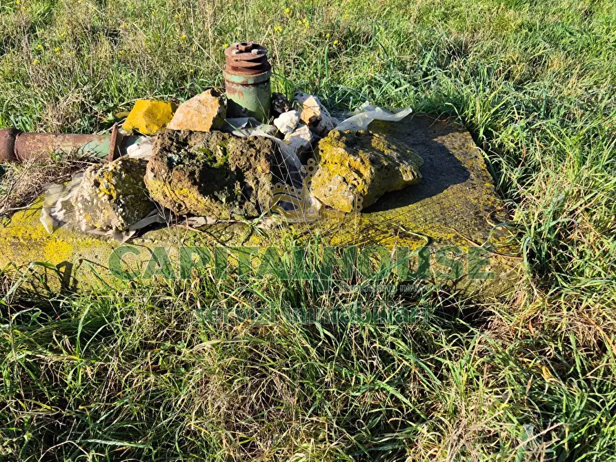 Immagine 4 di Terreno agricolo in vendita  a Marcianise