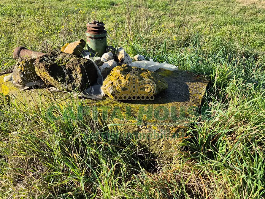 Immagine 5 di Terreno agricolo in vendita  a Marcianise