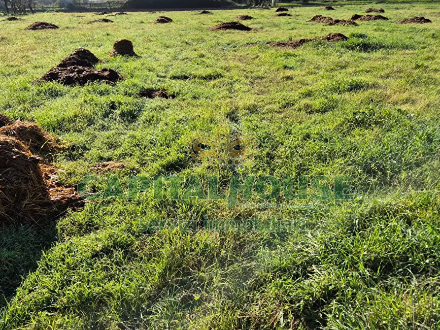 Immagine 6 di Terreno agricolo in vendita  a Marcianise