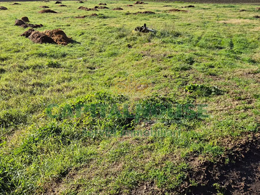 Immagine 7 di Terreno agricolo in vendita  a Marcianise