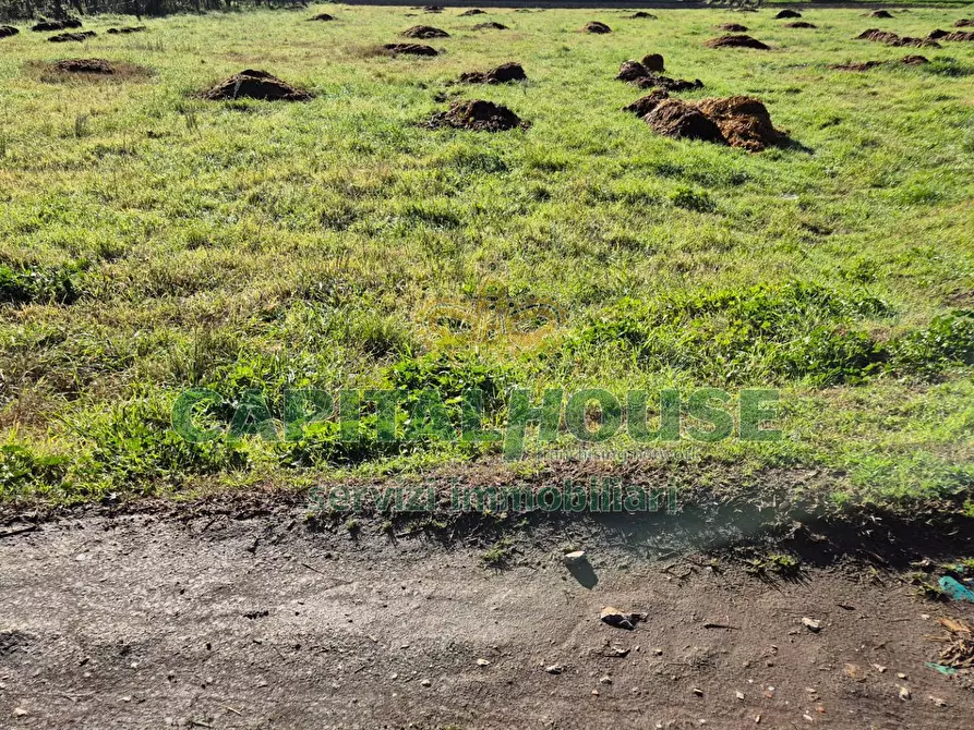Immagine 8 di Terreno agricolo in vendita  a Marcianise