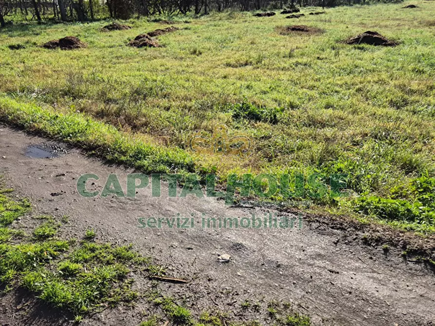 Immagine 9 di Terreno agricolo in vendita  a Marcianise