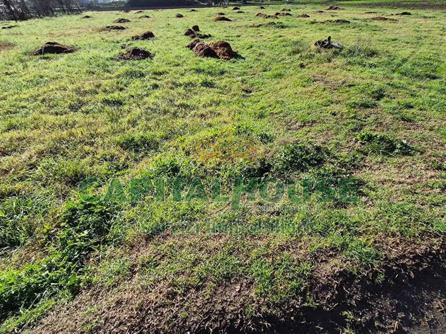 Immagine 10 di Terreno agricolo in vendita  a Marcianise