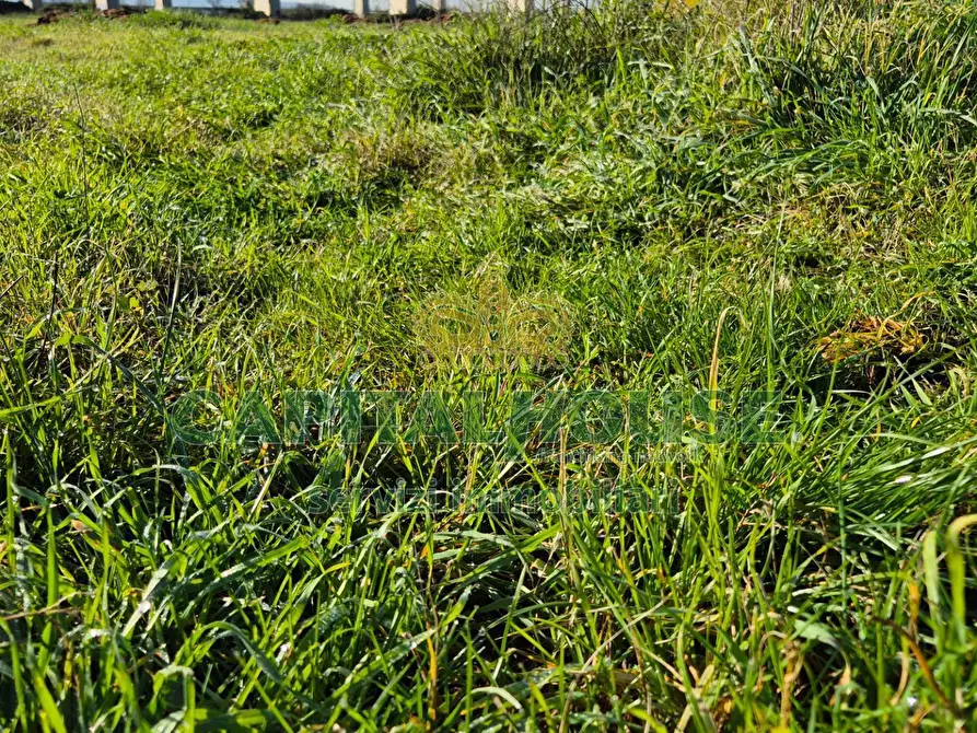 Immagine 11 di Terreno agricolo in vendita  a Marcianise