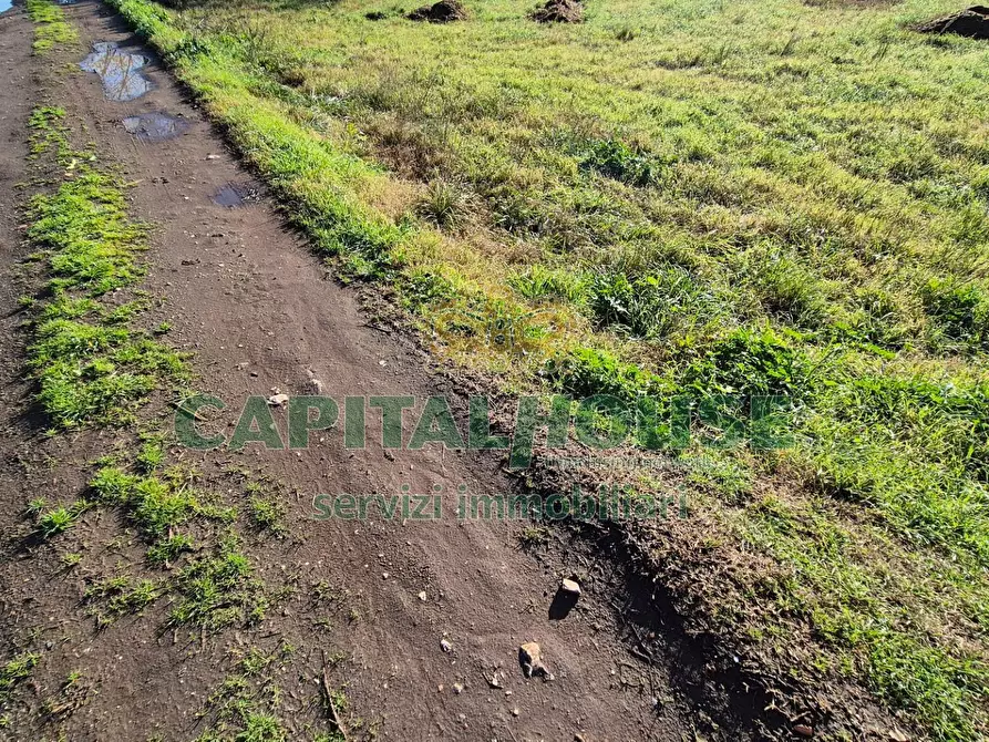Immagine 12 di Terreno agricolo in vendita  a Marcianise