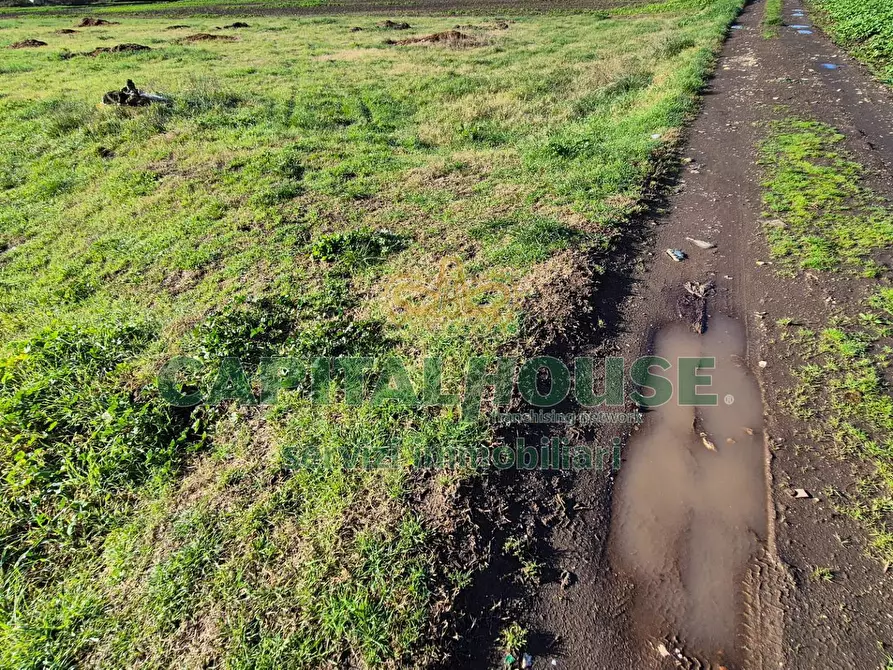 Immagine 13 di Terreno agricolo in vendita  a Marcianise