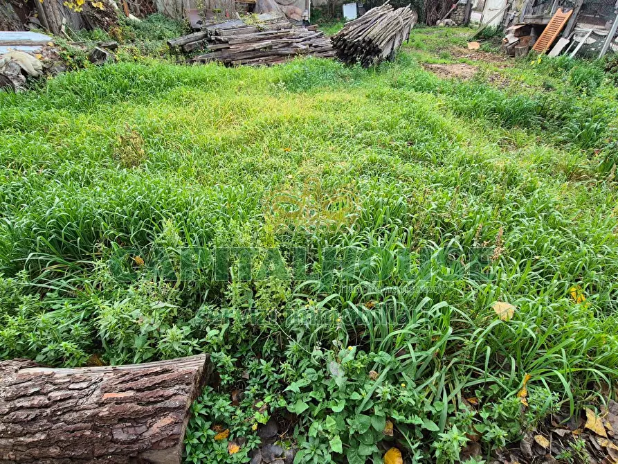 Immagine 3 di Terreno residenziale in vendita  a Marcianise