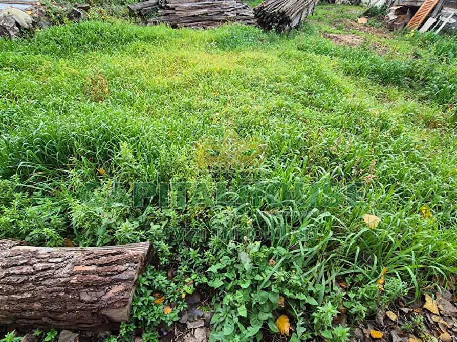 Immagine 4 di Terreno residenziale in vendita  a Marcianise
