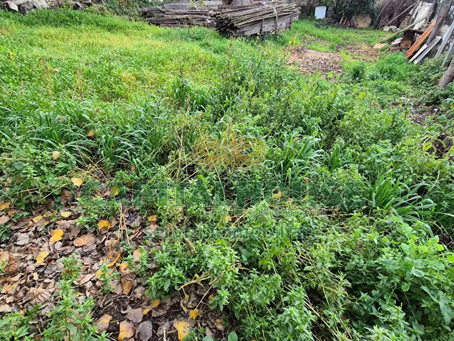 Immagine 5 di Terreno residenziale in vendita  a Marcianise