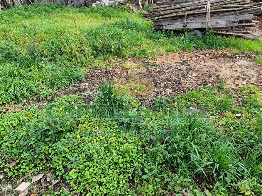Immagine 6 di Terreno residenziale in vendita  a Marcianise