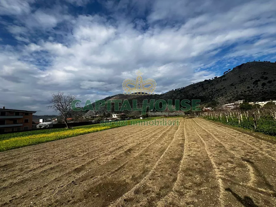 Immagine 2 di Terreno agricolo in vendita  in Avv.Raffaele Lanzara a Castel San Giorgio