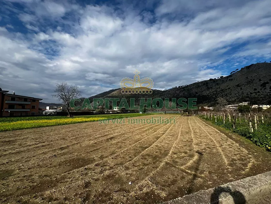 Immagine 3 di Terreno agricolo in vendita  in Avv.Raffaele Lanzara a Castel San Giorgio