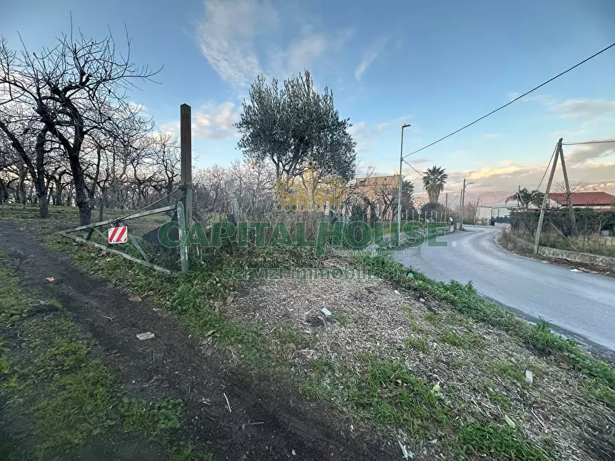 Immagine 1 di Terreno agricolo in vendita  in contrada capra biannca a Somma Vesuviana