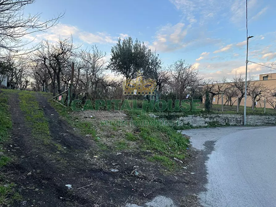 Immagine 8 di Terreno agricolo in vendita  in contrada capra biannca a Somma Vesuviana