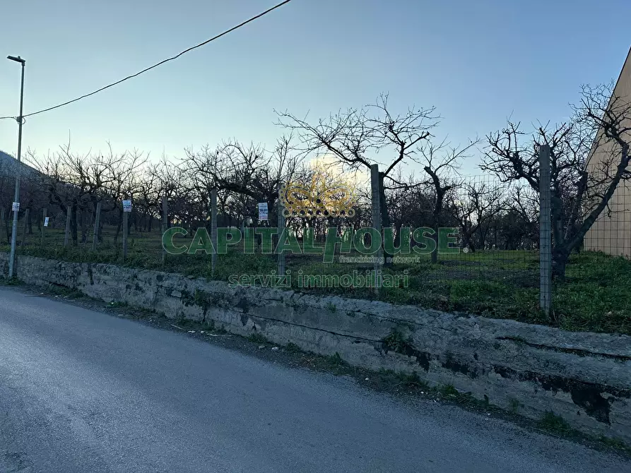 Immagine 3 di Terreno agricolo in vendita  in contrada capra biannca a Somma Vesuviana