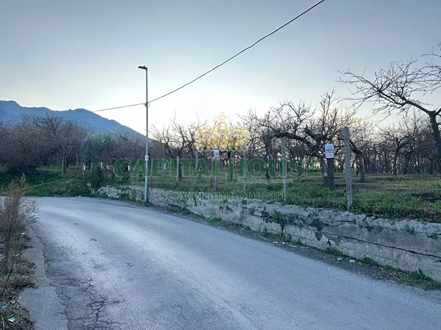 Immagine 2 di Terreno agricolo in vendita  in contrada capra biannca a Somma Vesuviana
