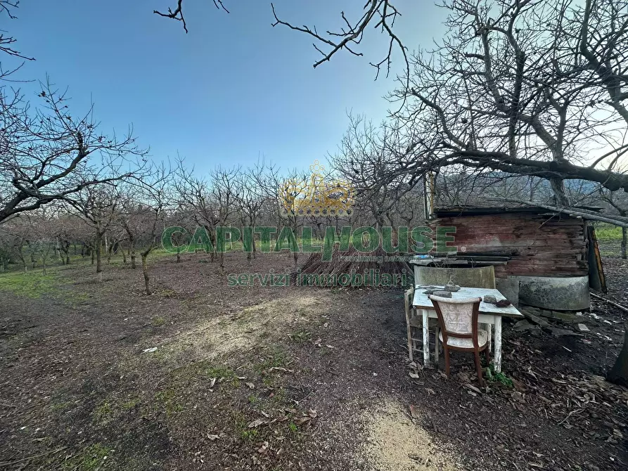 Immagine 4 di Terreno agricolo in vendita  in contrada capra biannca a Somma Vesuviana