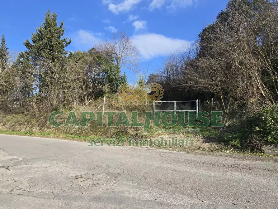 Immagine 45 di Casa indipendente in vendita  in Contrada Molino Corte a Sant'agata De' Goti