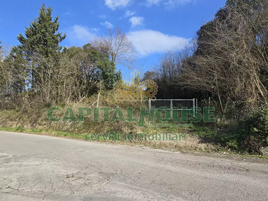 Immagine 41 di Casa indipendente in vendita  in Contrada Molino Corte a Sant'agata De' Goti
