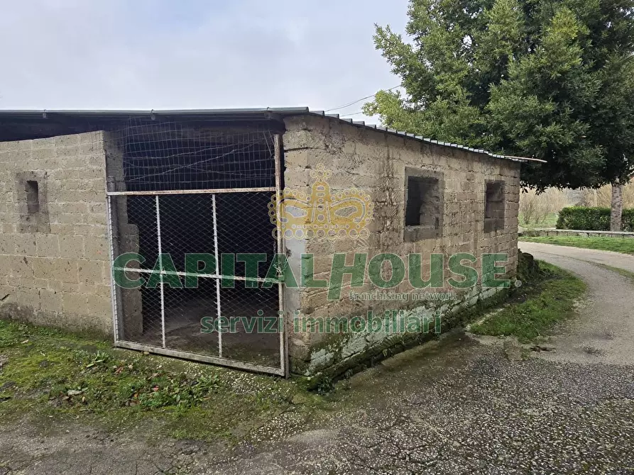 Immagine 15 di Casa semindipendente in vendita  a Sant'agata De' Goti