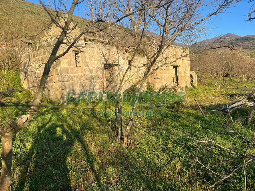 Immagine 4 di Terreno agricolo in vendita  in sirignano a Sirignano