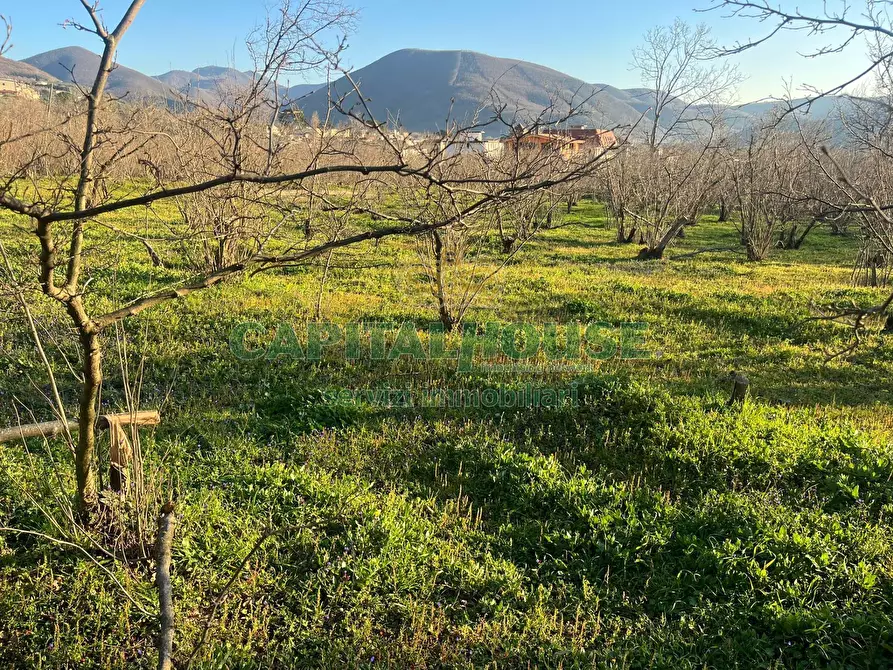 Immagine 5 di Terreno agricolo in vendita  in sirignano a Sirignano
