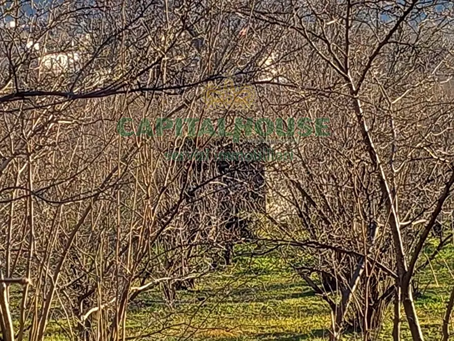 Immagine 9 di Terreno agricolo in vendita  in sirignano a Sirignano