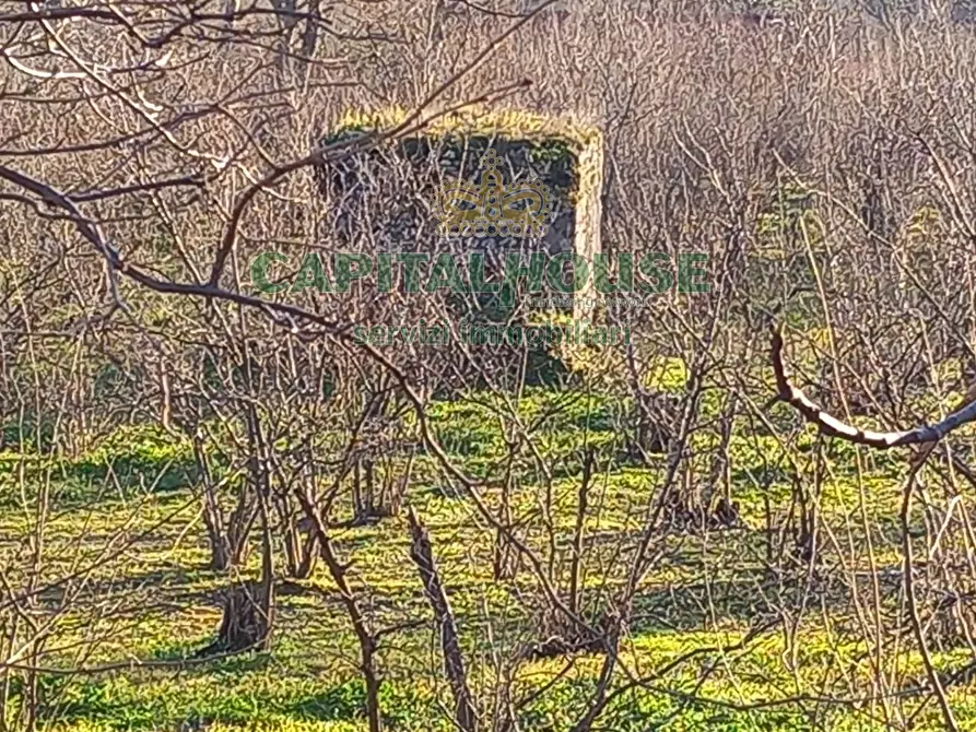 Immagine 11 di Terreno agricolo in vendita  in sirignano a Sirignano
