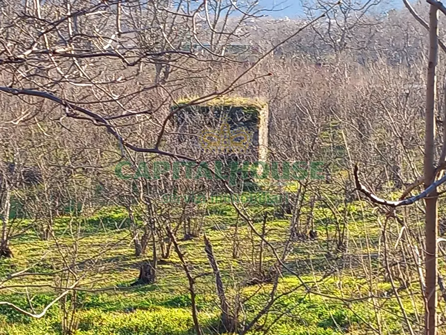 Immagine 13 di Terreno agricolo in vendita  in sirignano a Sirignano