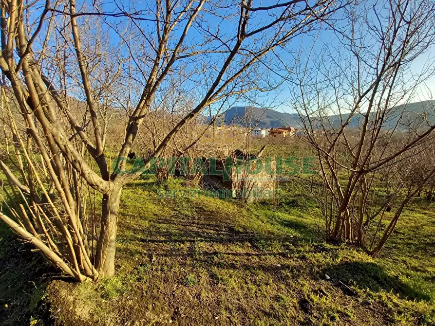 Immagine 14 di Terreno agricolo in vendita  in sirignano a Sirignano