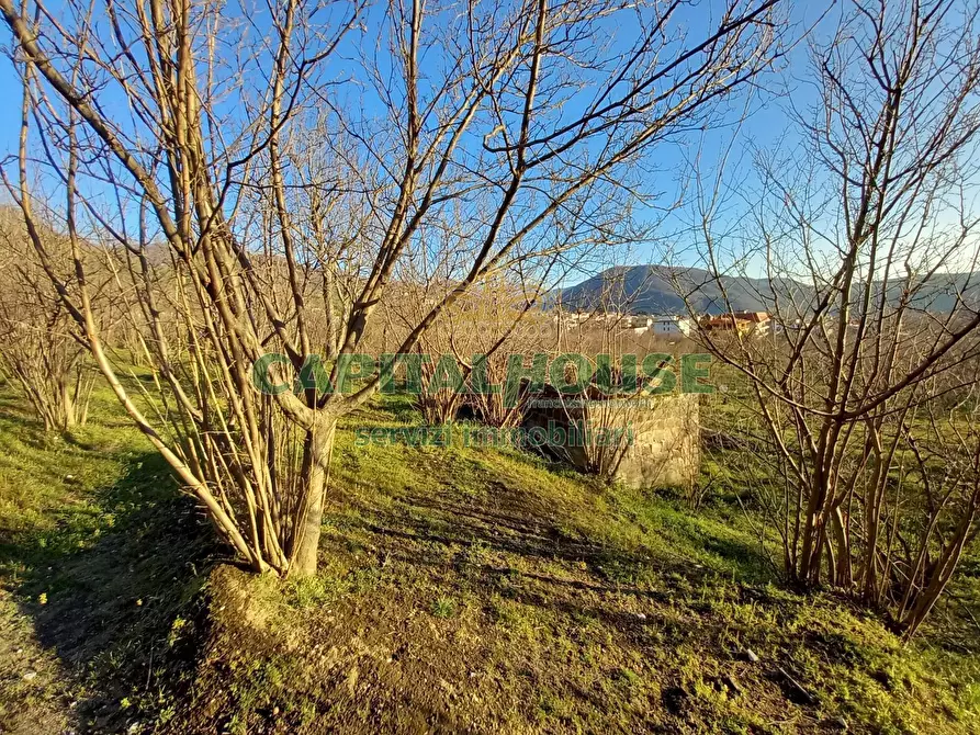 Immagine 16 di Terreno agricolo in vendita  in sirignano a Sirignano