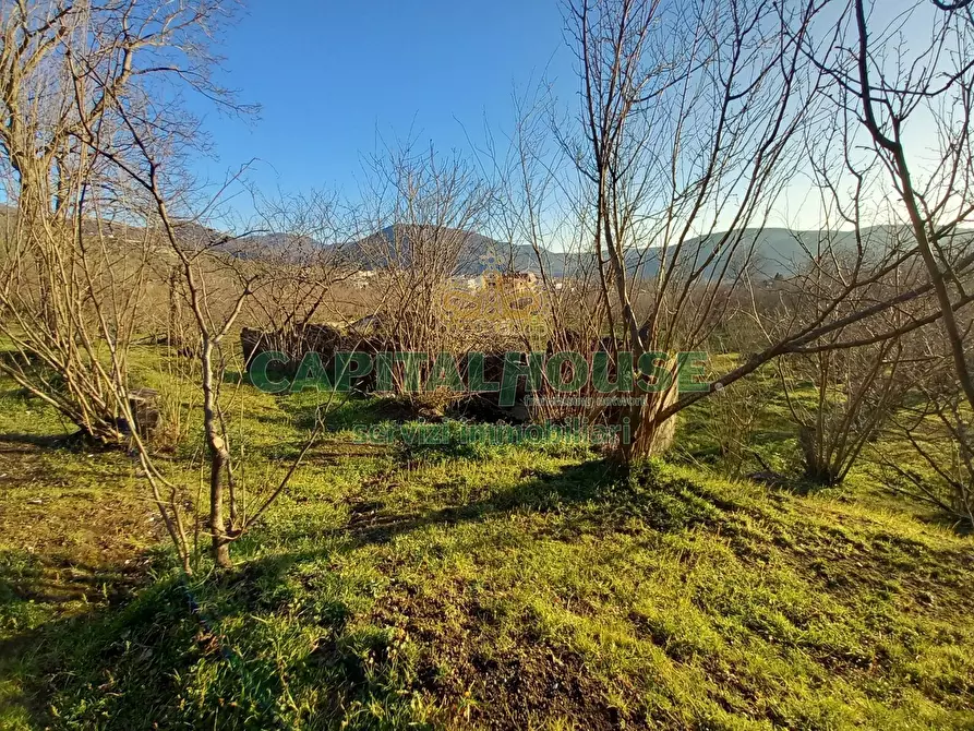 Immagine 18 di Terreno agricolo in vendita  in sirignano a Sirignano