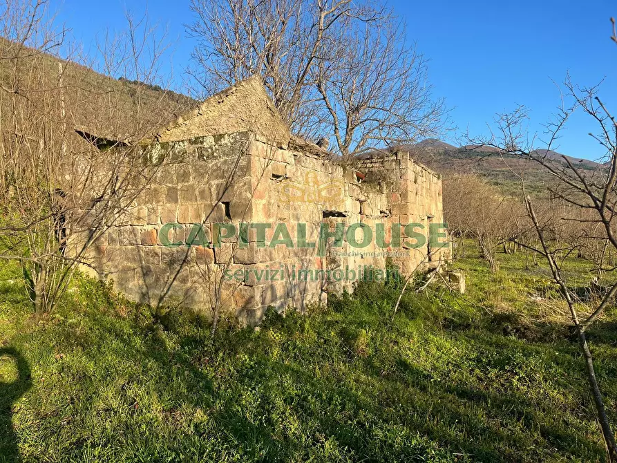 Immagine 2 di Terreno agricolo in vendita  in sirignano a Sirignano