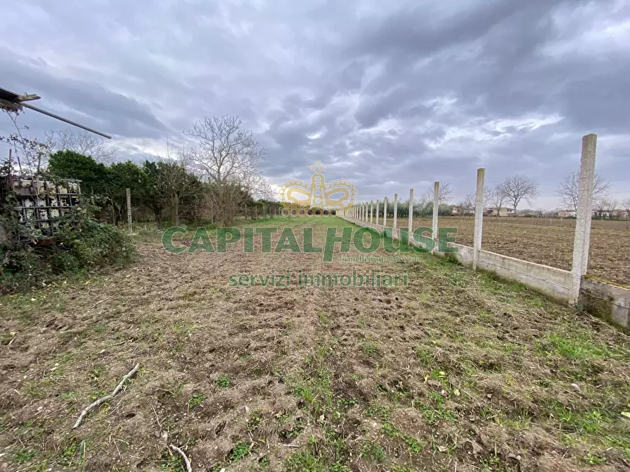 Immagine 3 di Terreno agricolo in vendita  in Via Appia Antica a Maddaloni